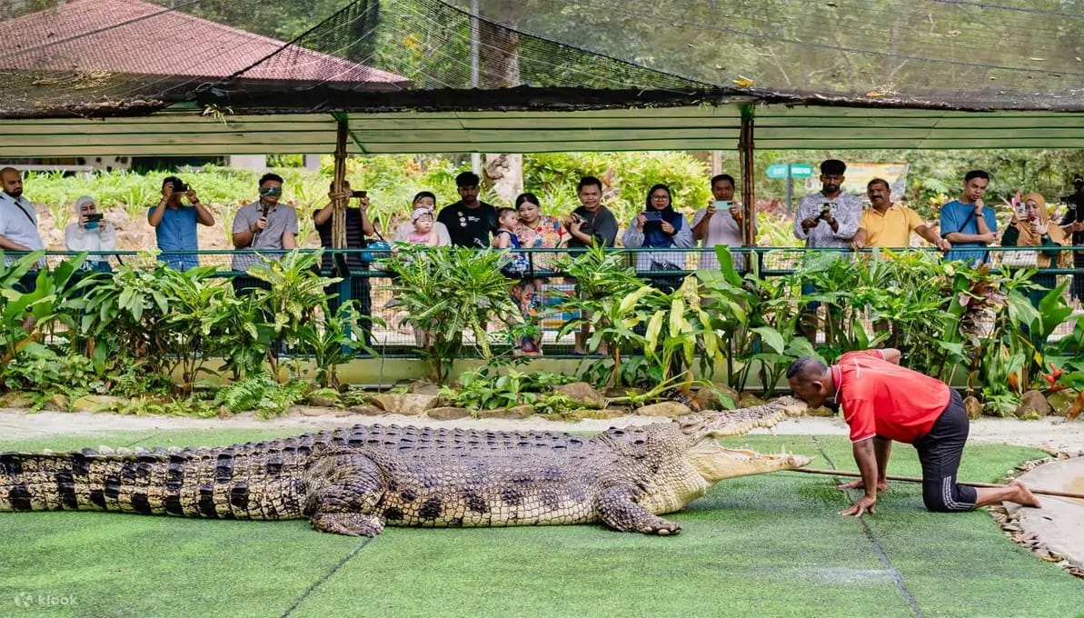 Crocodile Adventure Waterpark Langkawi, Malaysia image 1