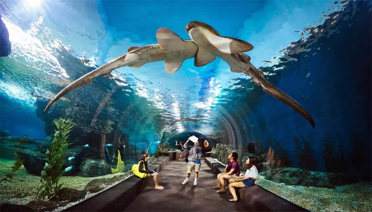 Underwater World Langkawi Langkawi, Malaysia image 4
