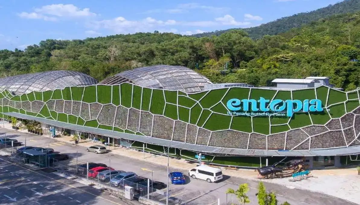 Entopia by Penang Butterfly Farm Ticket Penang, Malaysia image 1