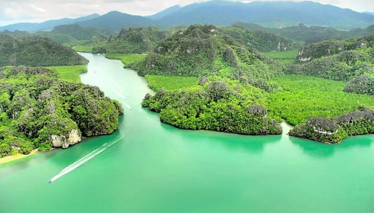 Mangrove Geopark Tour Langkawi, Malaysia image 1