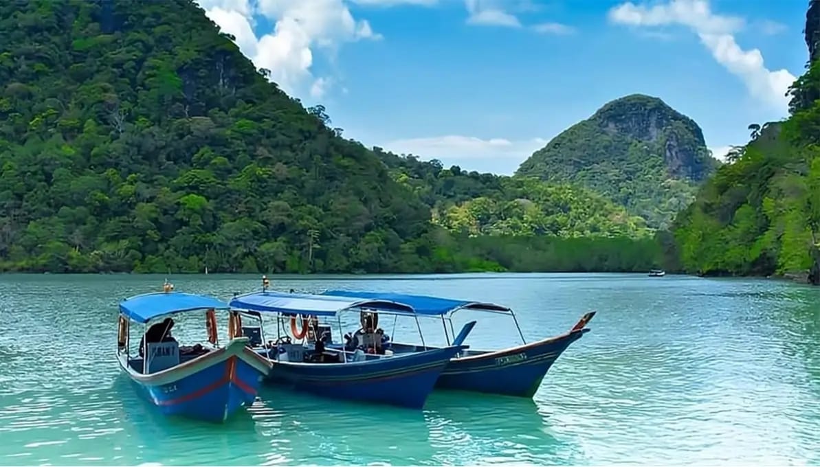 Mangrove Geopark Tour Langkawi, Malaysia image 2