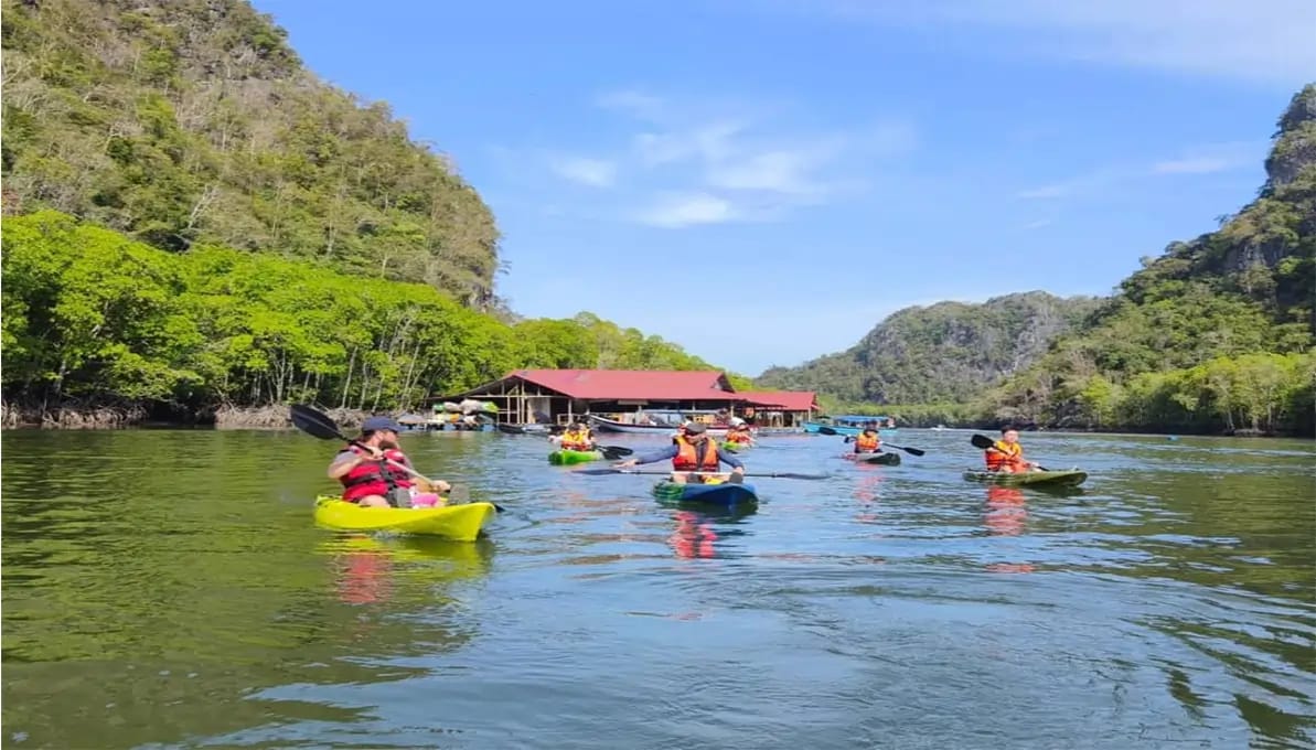 Mangrove Geopark Tour Langkawi, Malaysia image 4