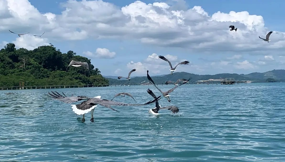 Island Hopping Tour Langkawi, Malaysia image 1