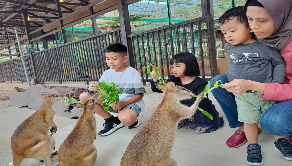 Langkawi Wildlife Park Langkawi, Malaysia image 2