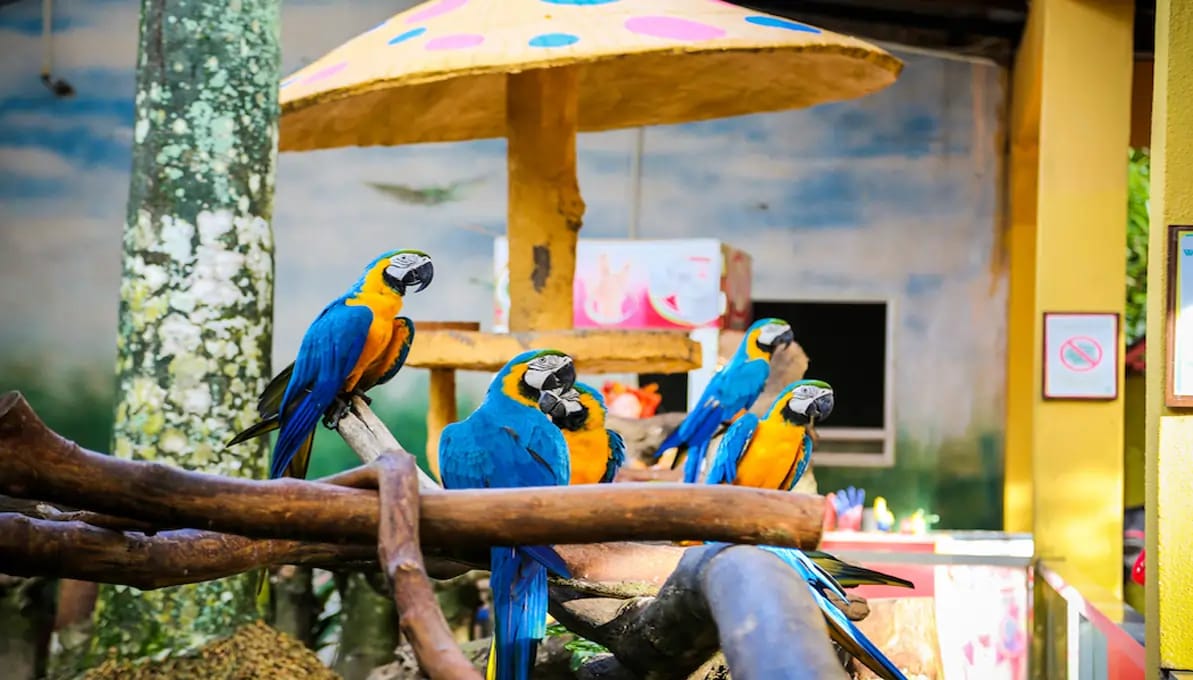 Langkawi Wildlife Park Langkawi, Malaysia image 3