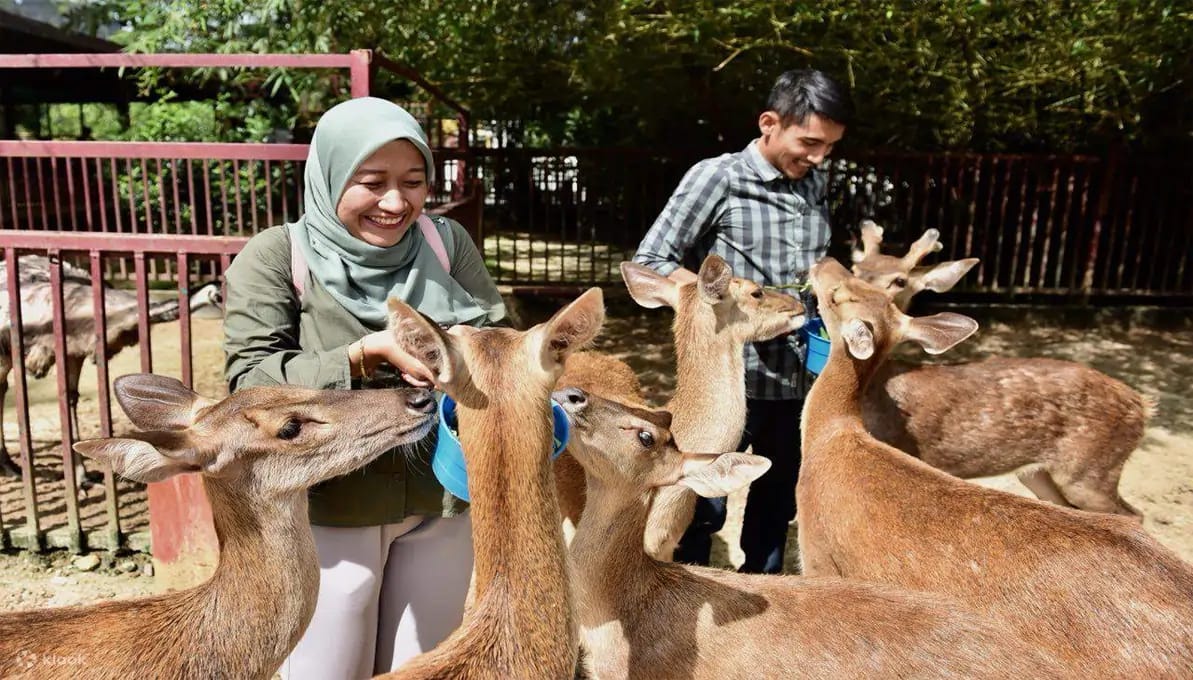 Langkawi Wildlife Park Langkawi, Malaysia image 4