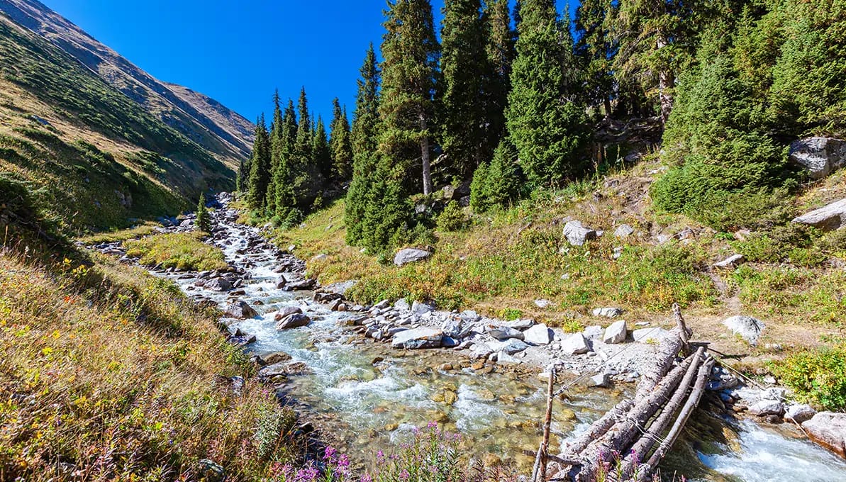 Almarasan Gorge Almaty, Kazakhstan image 3