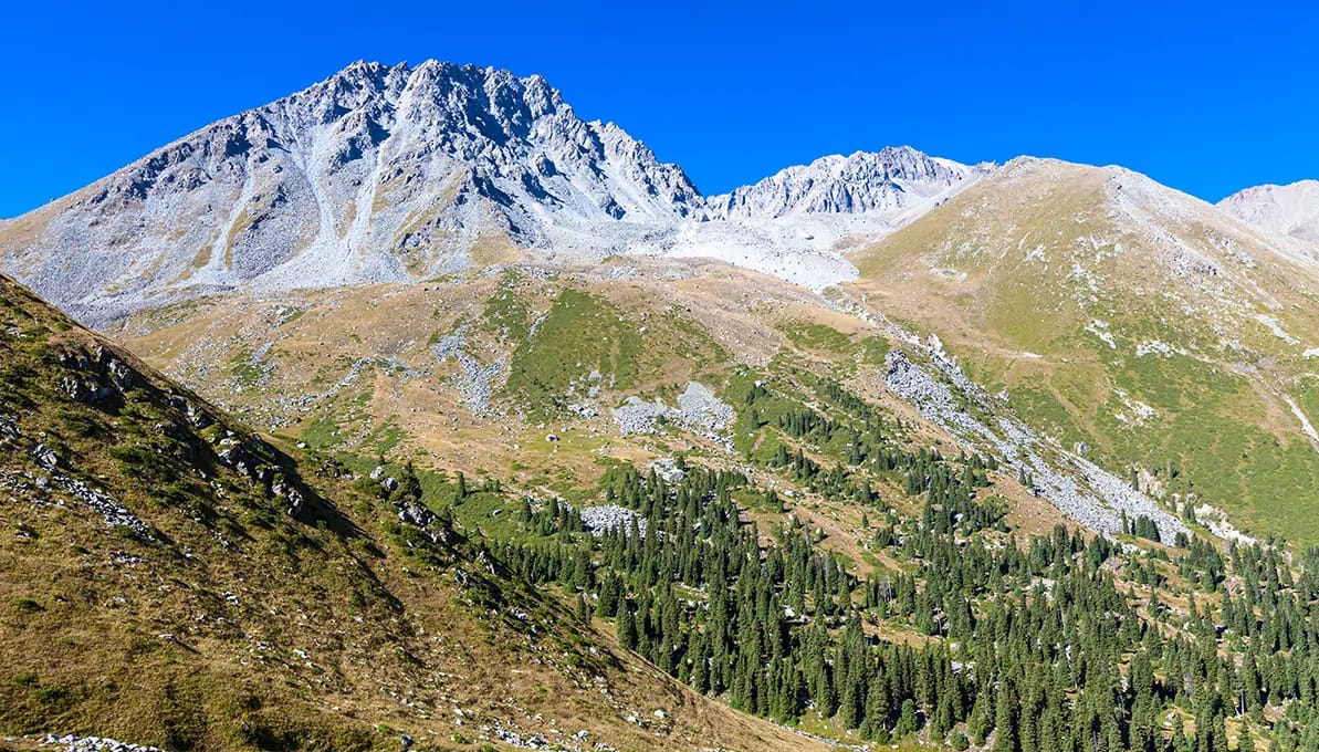 Almarasan Gorge Almaty, Kazakhstan image 4