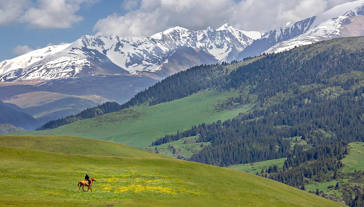 Asy plateau Almaty, Kazakhstan image 2