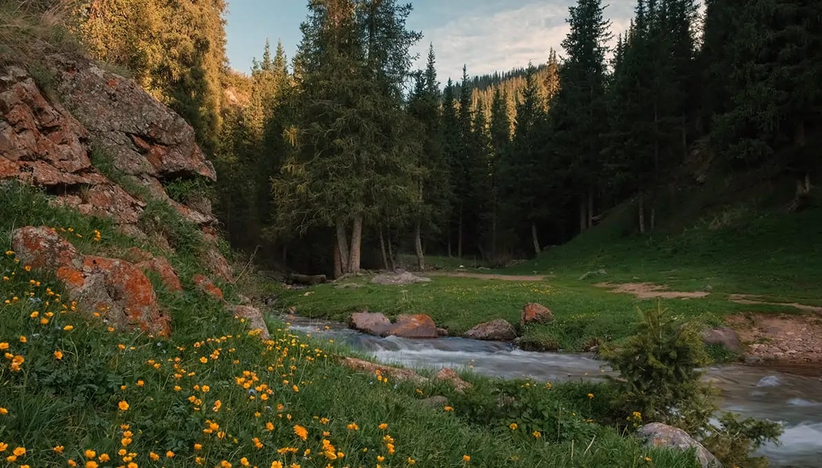 Asy plateau Almaty, Kazakhstan image 4