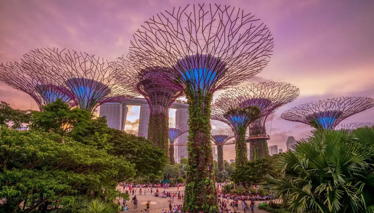 Gardens By The Bay Singapore, Singapore image 1