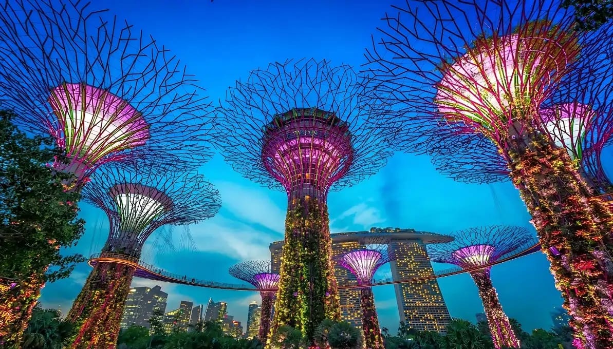 Gardens By The Bay Singapore, Singapore image 2