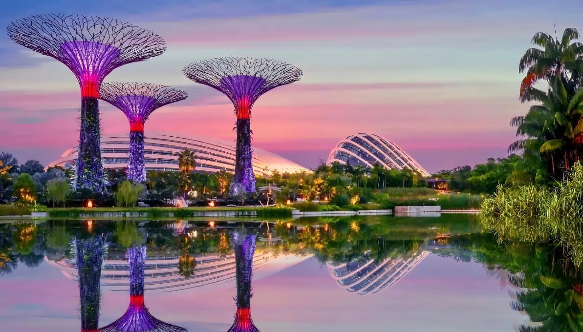 Gardens By The Bay Singapore, Singapore image 3