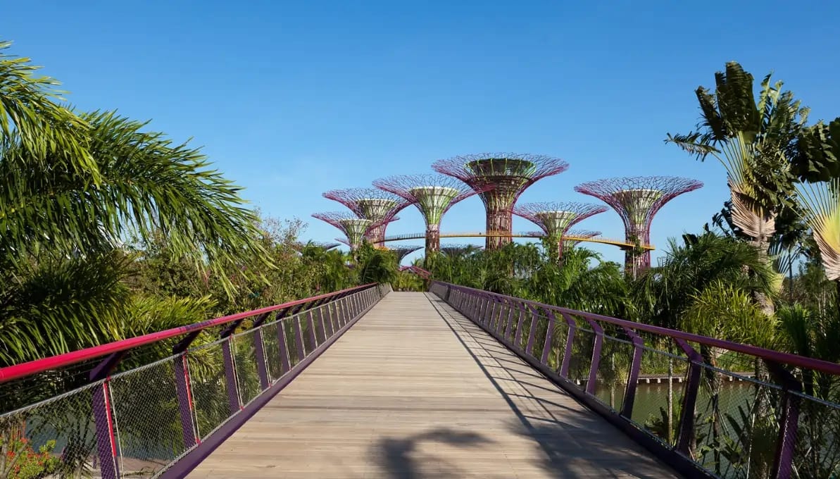 Gardens By The Bay Singapore, Singapore image 4
