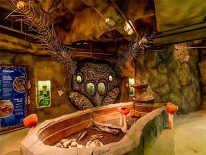 Entopia by Penang Butterfly Farm Ticket